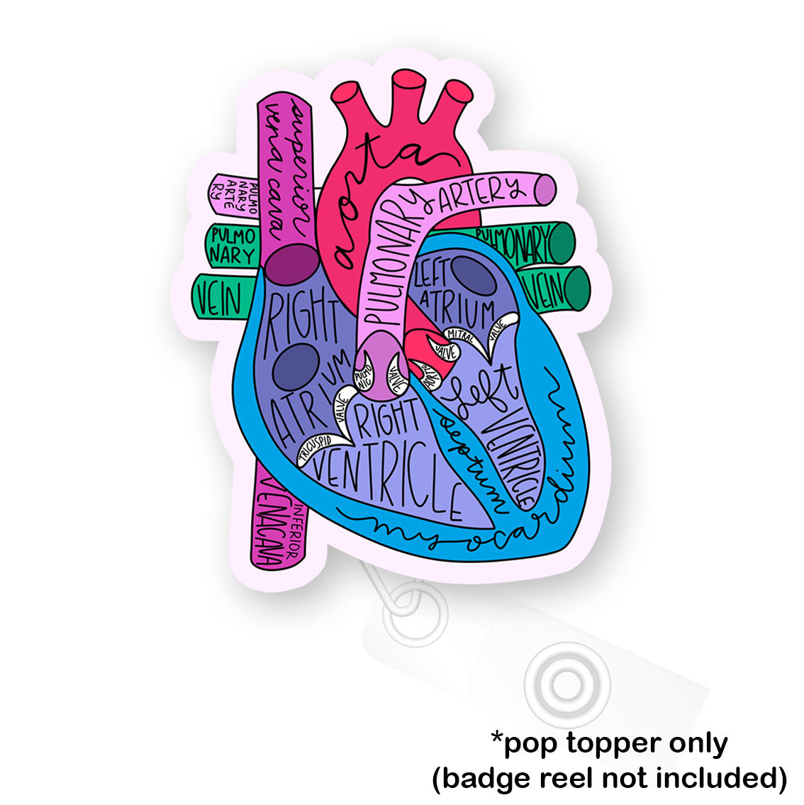 Heart Anatomy Pop Topper - Flex - Matte - Topperswap