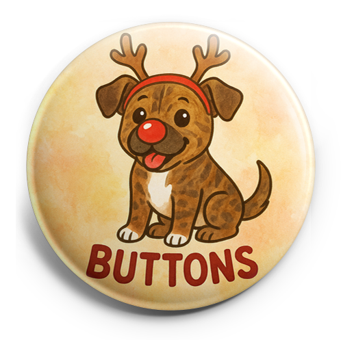 Custom Design – my pet dressed as a reindeer with a shiny red nose - Topper