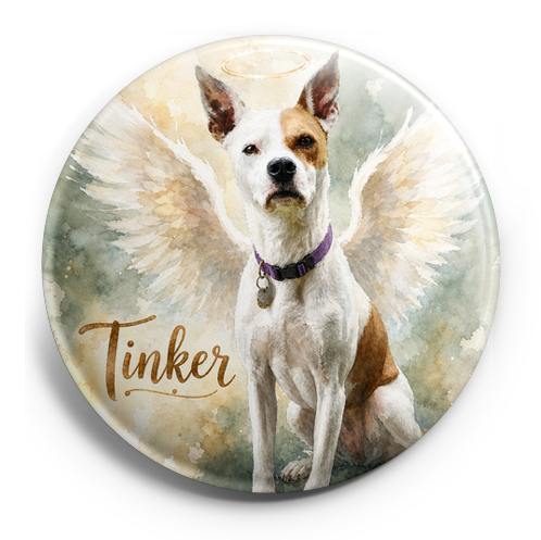 Custom Design – My pet with angel wings and halo - my little angel - - Topperswap