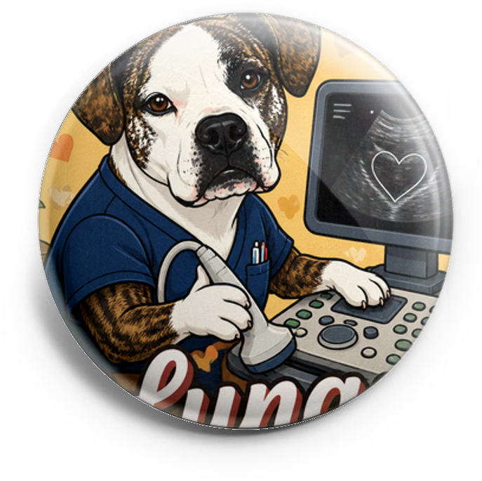 My dog as a sonographer – Topper