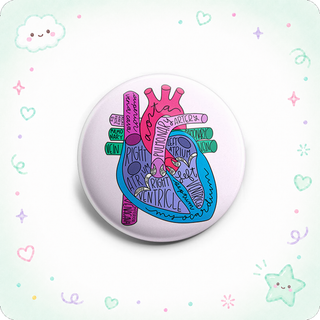 Heart Anatomy Topper