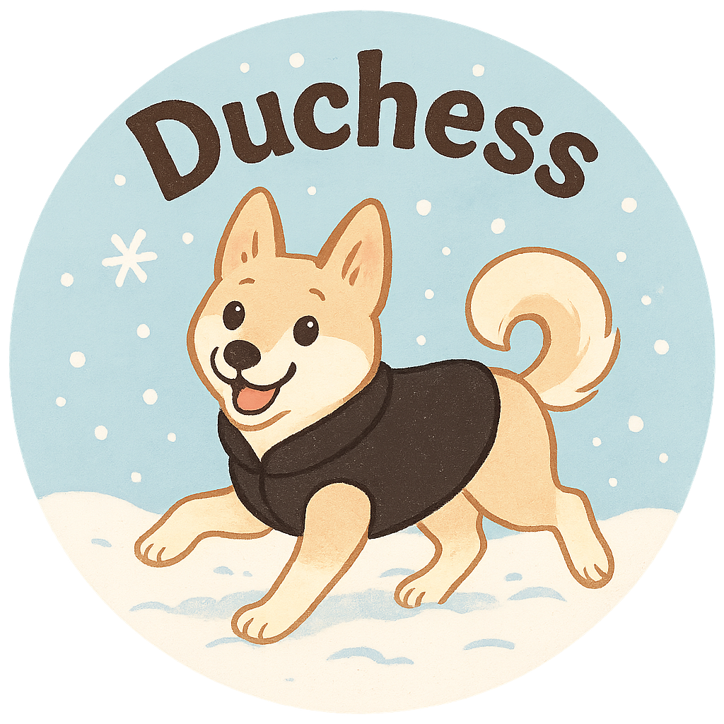 Duchess playing in the snow