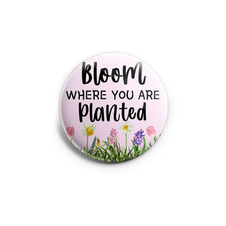Ultimate Spring Bliss 12-Pack