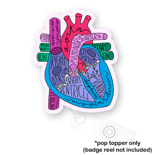 Heart Anatomy Pop Topper