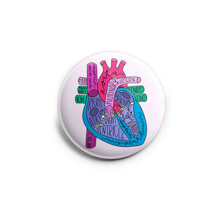 Heart Anatomy Topper