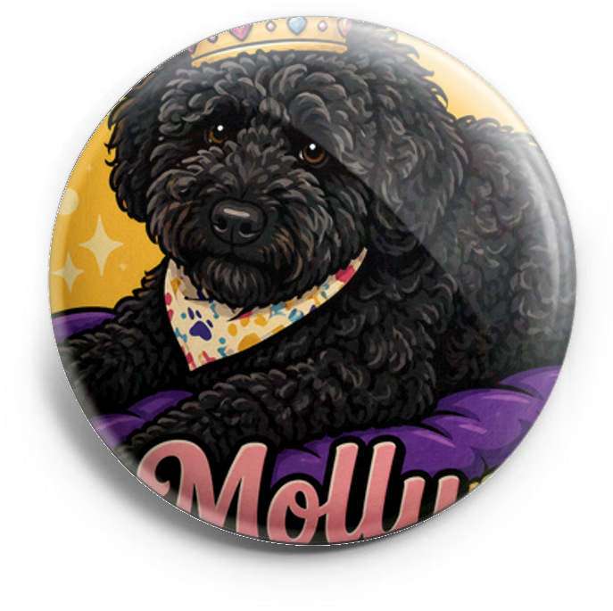 My pet wearing a crown - royalty of the house – Topper