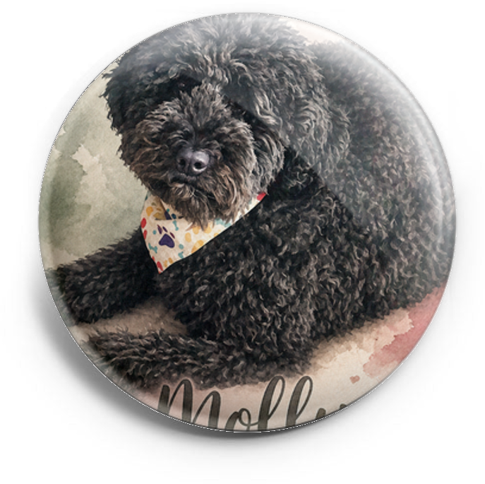 My pet not working or paying bills – Topper