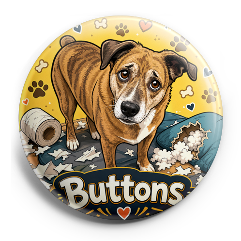 Custom Design – My pet looking guilty - they definitely did something - - Topperswap