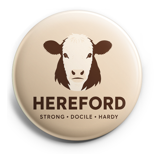 Custom Design – Hereford cow - Topper (Regular) - Topperswap