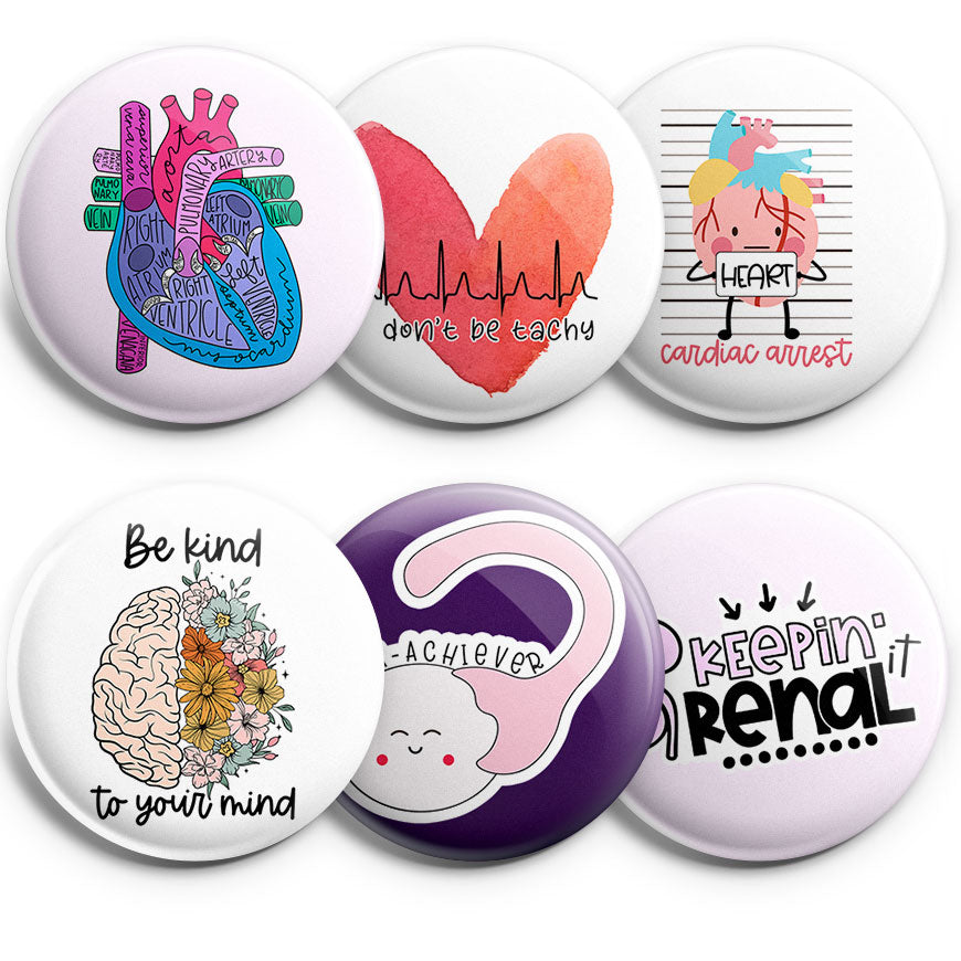 Anatomical Awesomeness Topper 6-Pack (Save 15%) - Classic Shine - Topperswap