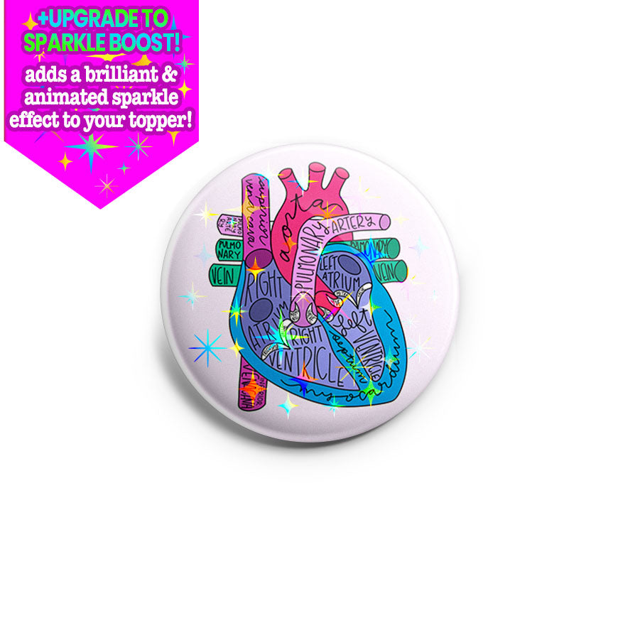 Heart Anatomy Topper -  - Topperswap