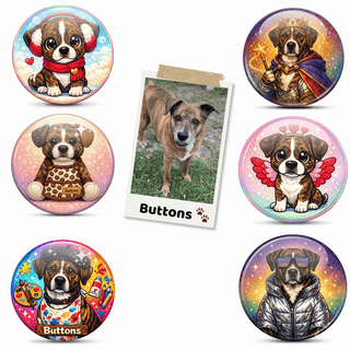 My Pet Mystery Pack