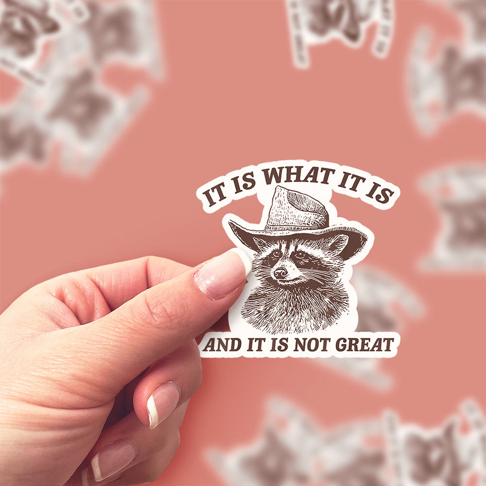 It Is What It Is Racoon Sticker - Classic Shine - Topperswap