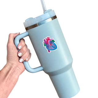 Heart Anatomy Sticker