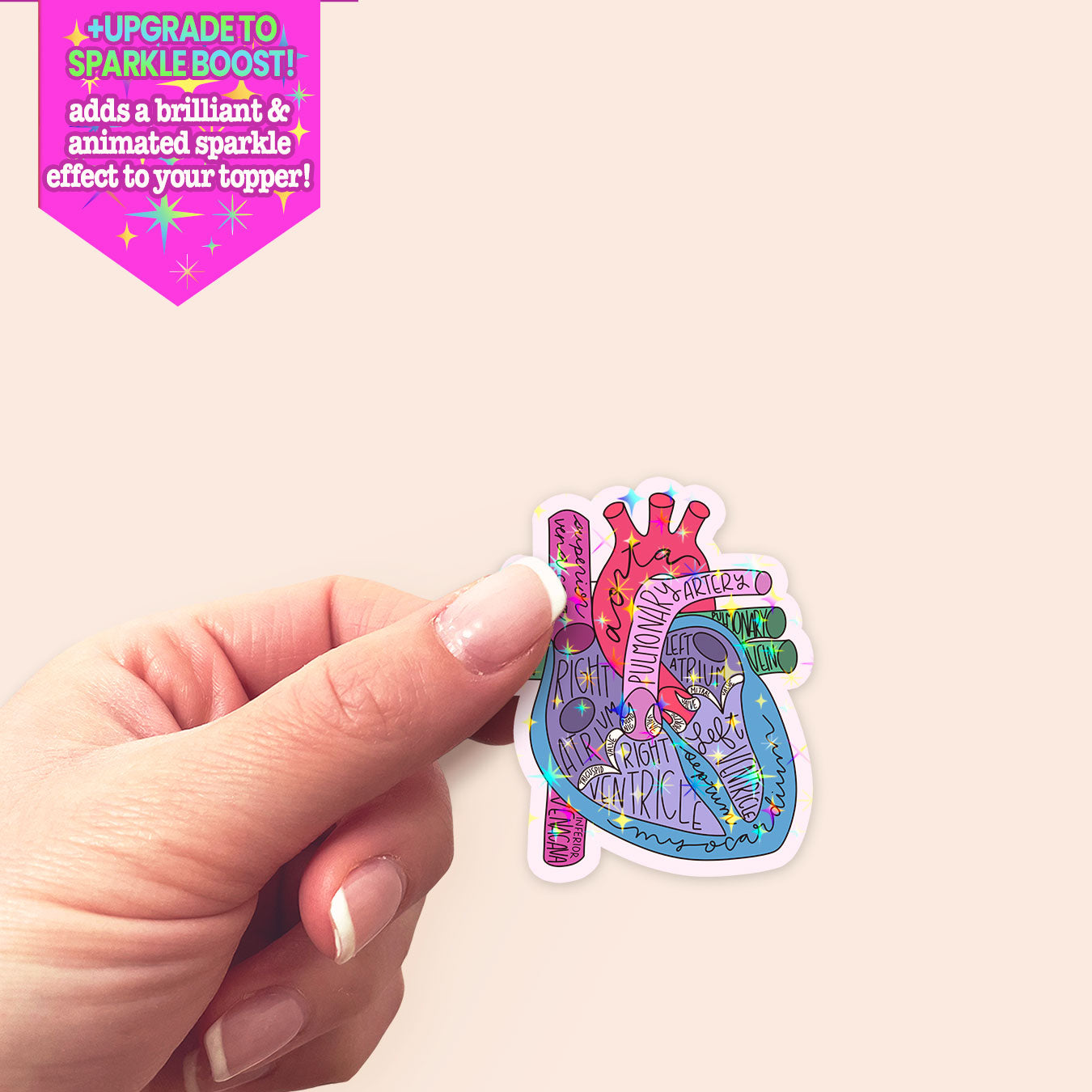 Heart Anatomy Sticker - Make it Sparkle - Topperswap