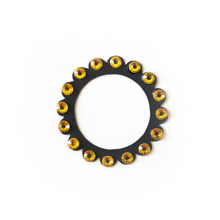 Bee Dazzled Radiance Swapfinity Swapper Frame